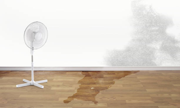 Best Carpet water damage restoration  in Hillsbo, OR