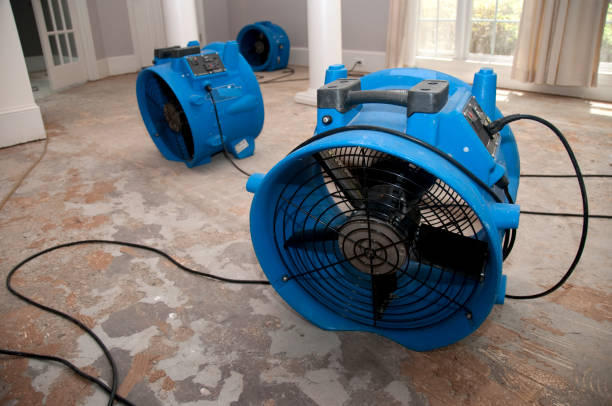 Best Flooded house restoration  in Hillsbo, OR