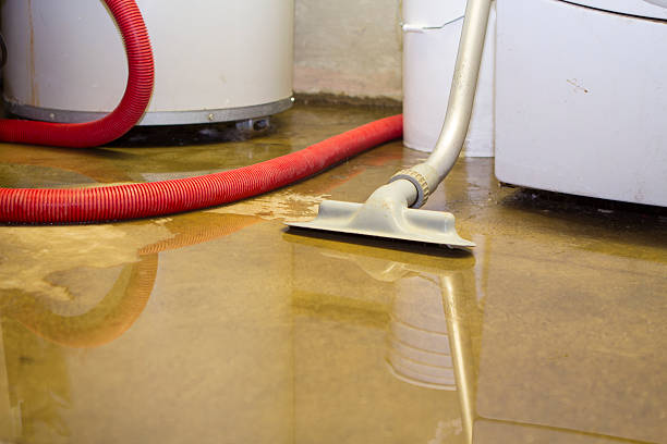 Best Commercial water damage restoration  in Hillsbo, OR