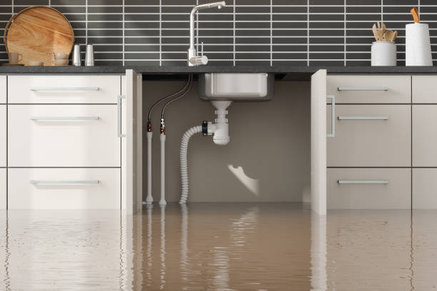 Best Water damage restoration services  in Hillsbo, OR